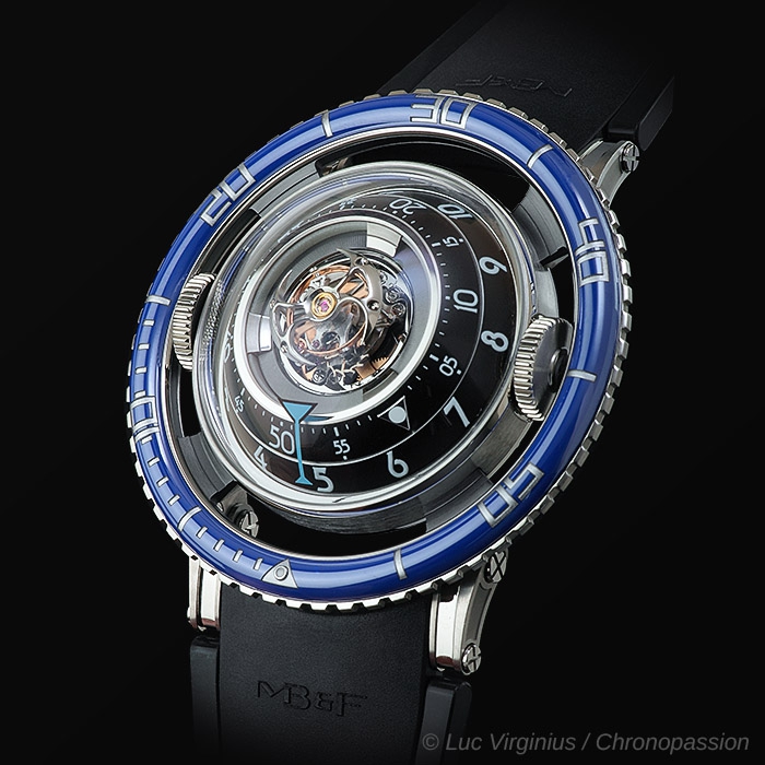 mb f hm7 bluetit 01 0165eb8cd7.jpg